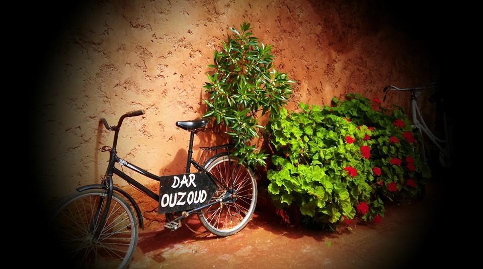 Dar Ouzoud Vegan Ξενοδοχείο Εξωτερικό φωτογραφία